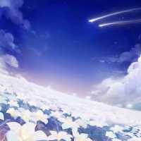Sea Of Flowers Genshin Impact