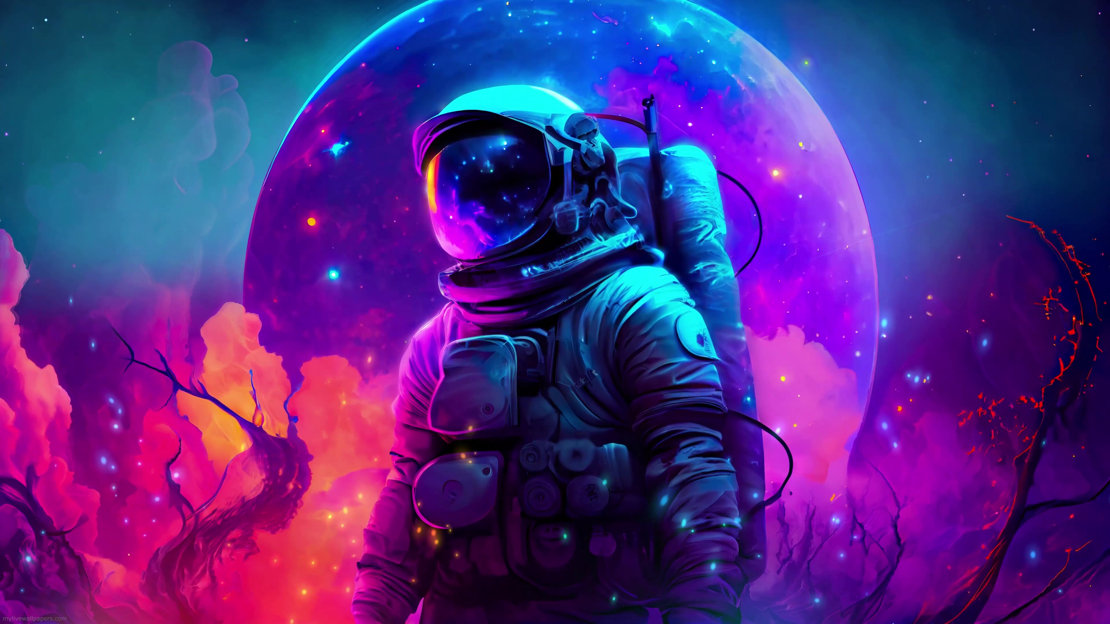cover_01.jpg