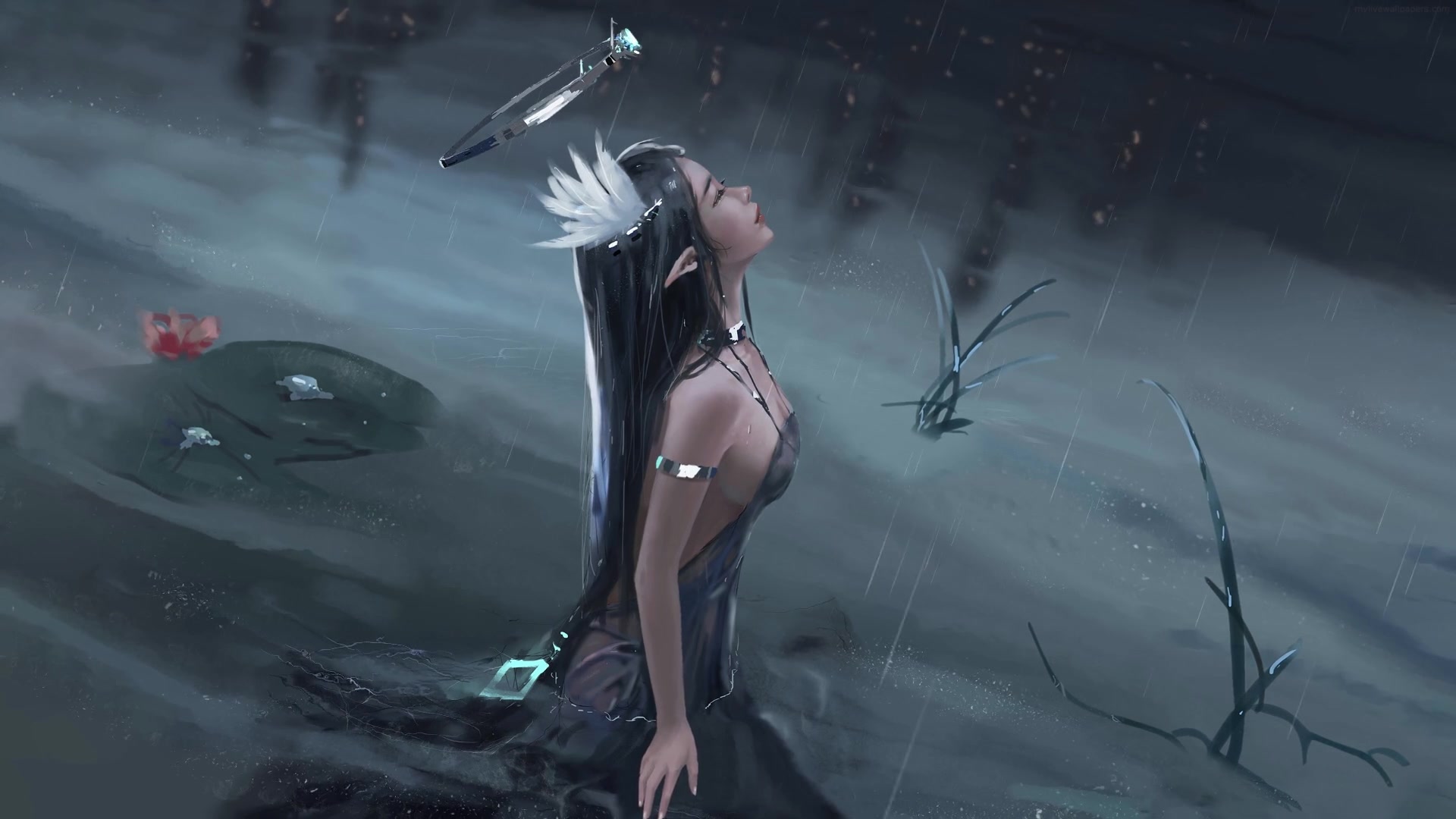 cover_01.jpg